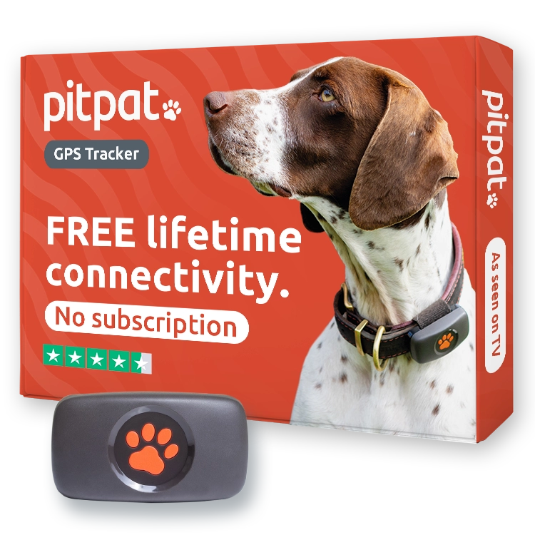PitPat Dog GPS Tracker