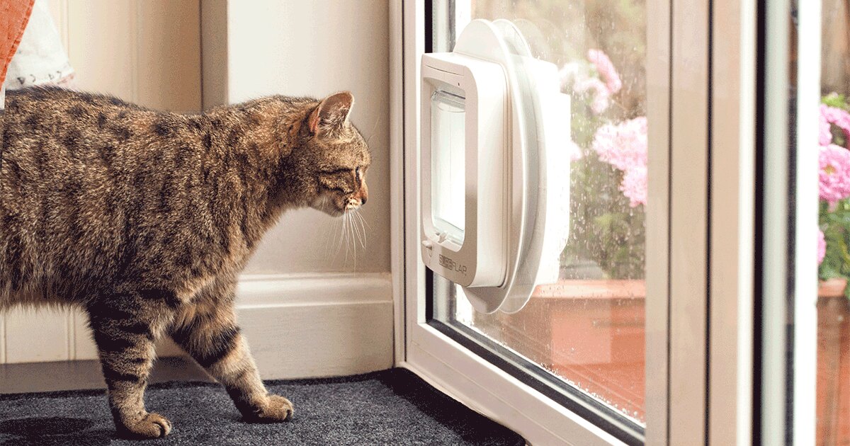Sure Petcare SureFlap Microchip Cat Flap