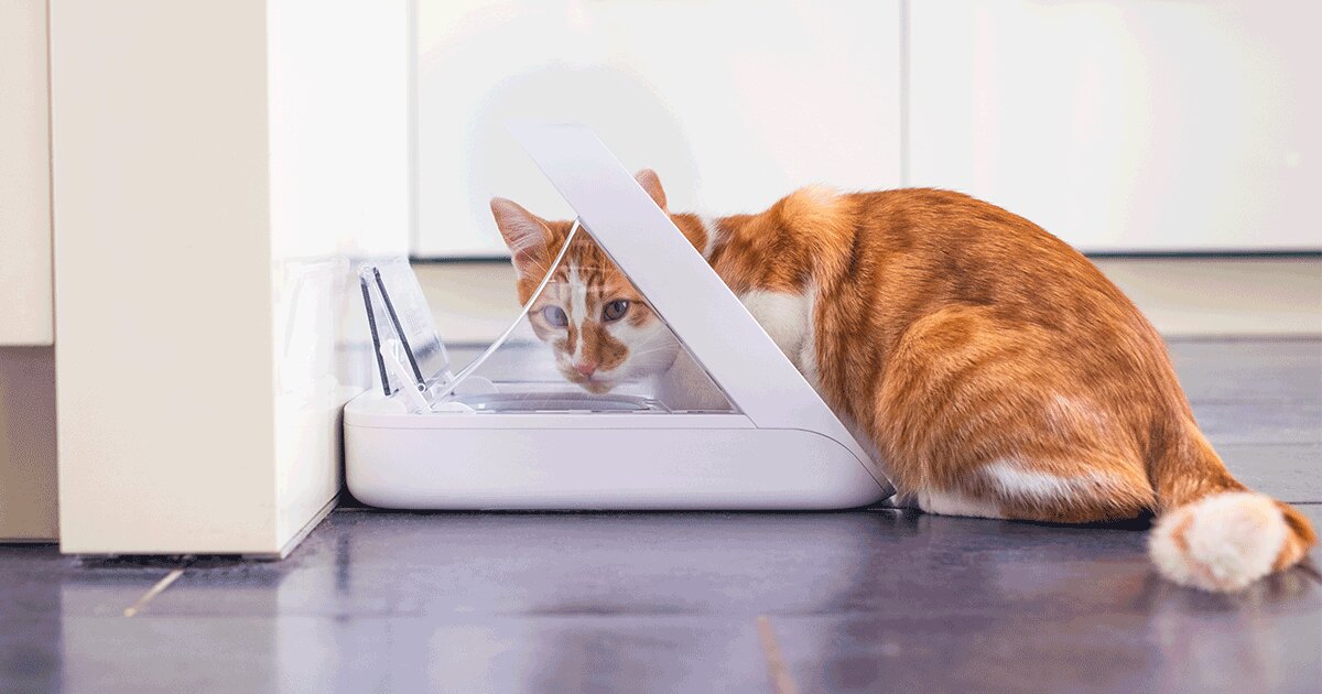 Sure Petcare SureFeed Microchip Pet Feeder