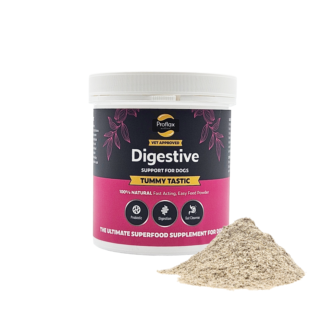 Proflax Tummy Tastic Pre & Probiotics For Dogs