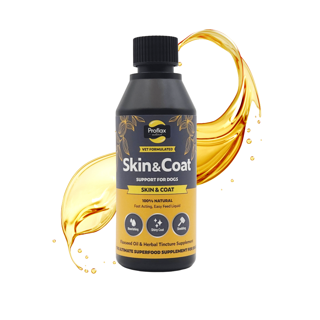 Proflax Skin & Coat Support For Dogs