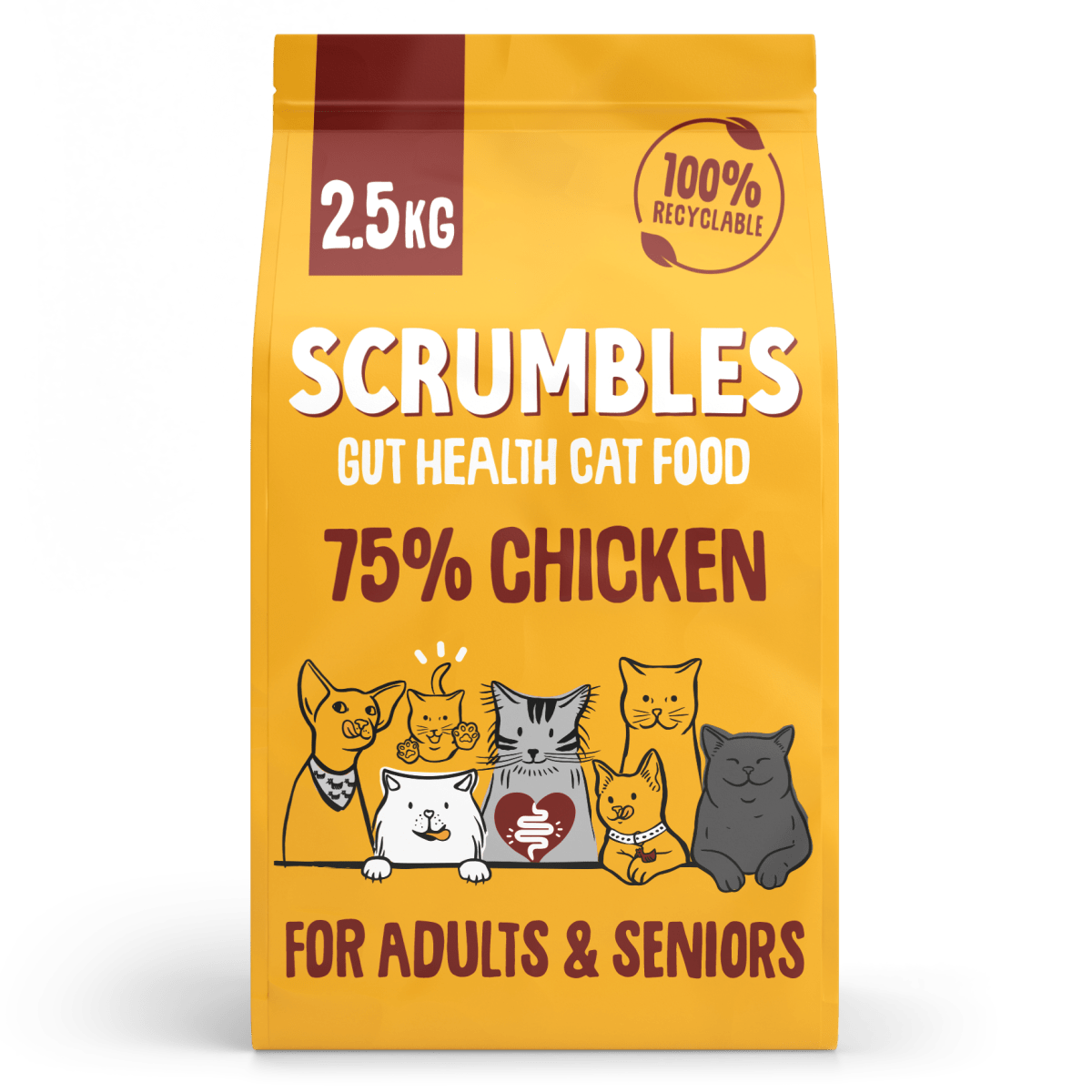 Scrumbles Chicken Dry Cat Food